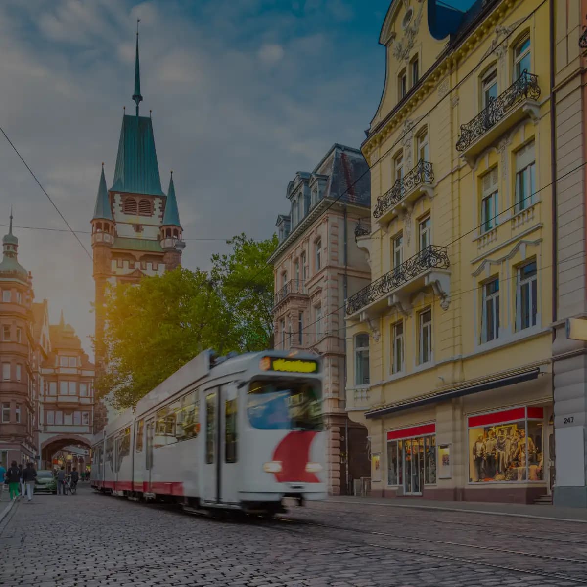 SEO Agentur Freiburg – Dominieren Sie die lokalen Suchergebnisse