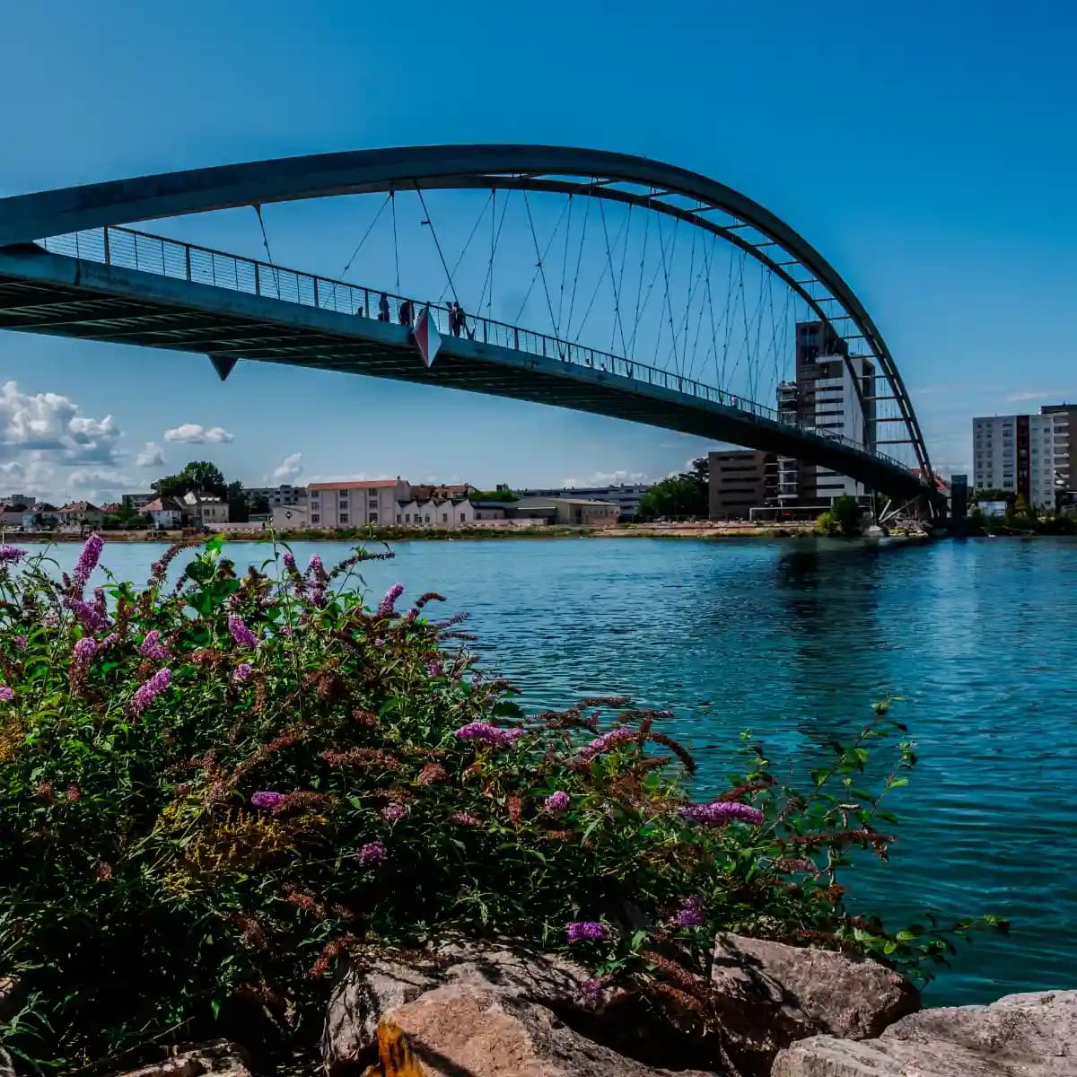 SEO Agentur Lörrach – Dominieren Sie die lokalen Suchergebnisse