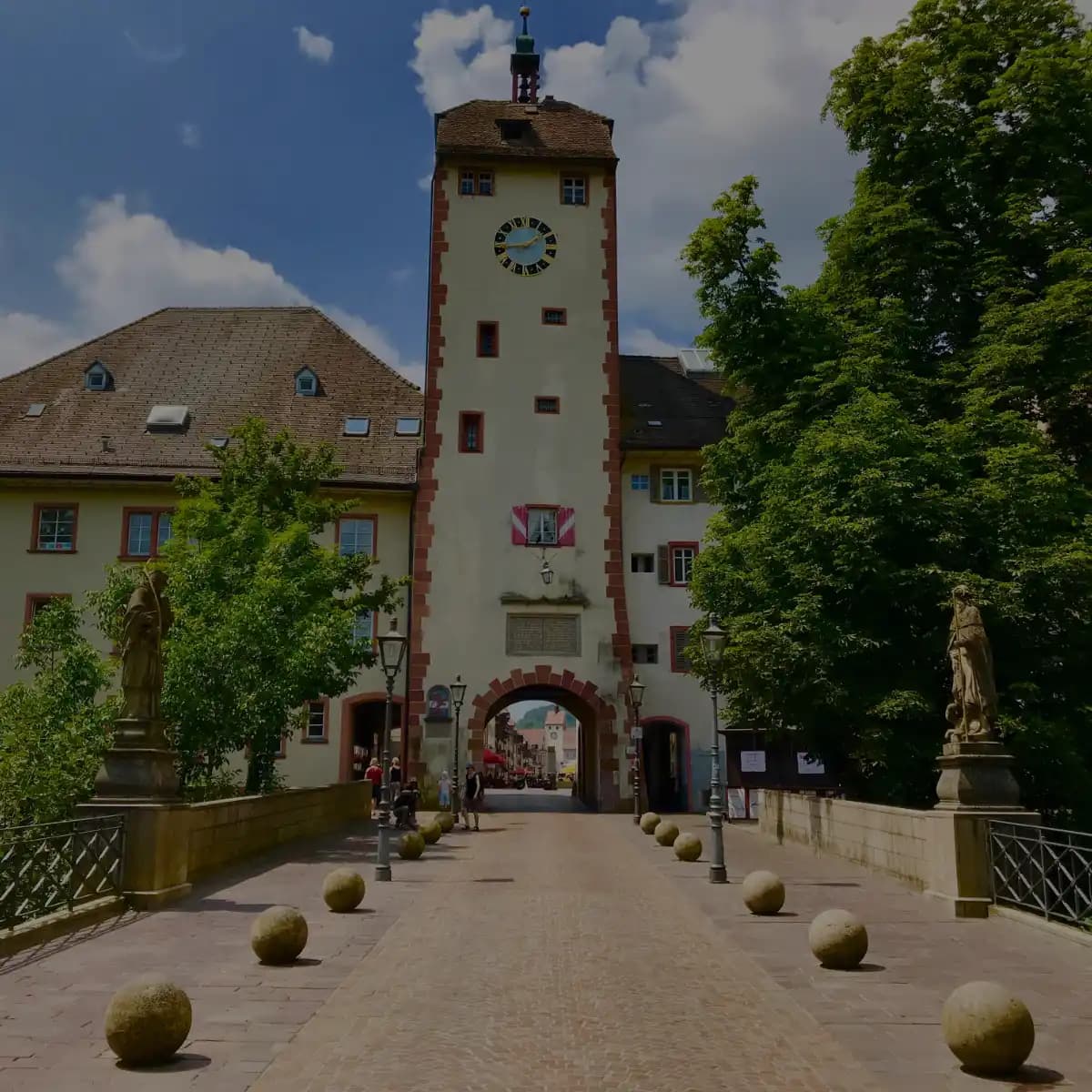 SEO Agentur Waldshut-Tiengen – Dominieren Sie die lokalen Suchergebnisse